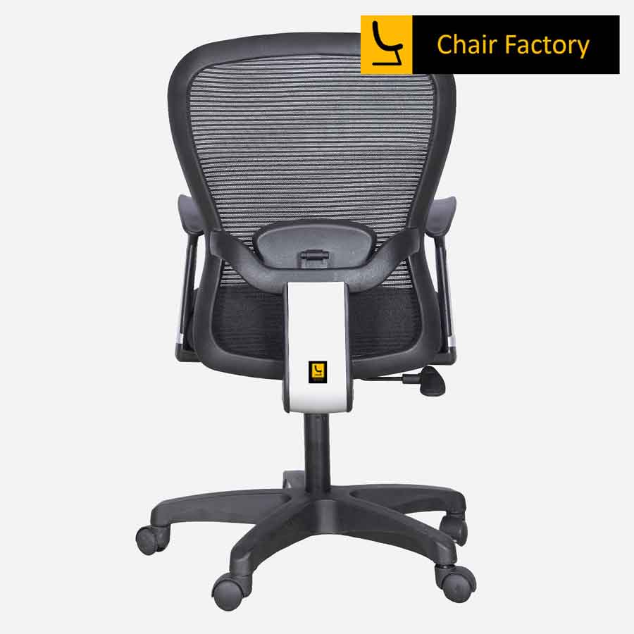 Esta Eco Mid Back Ergonomic Office Chair